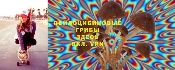 ALPHA PVP Горнозаводск